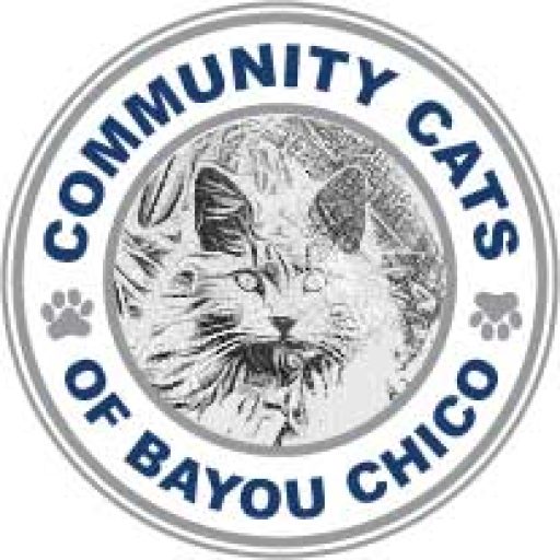 Community Cats of Bayou Chico